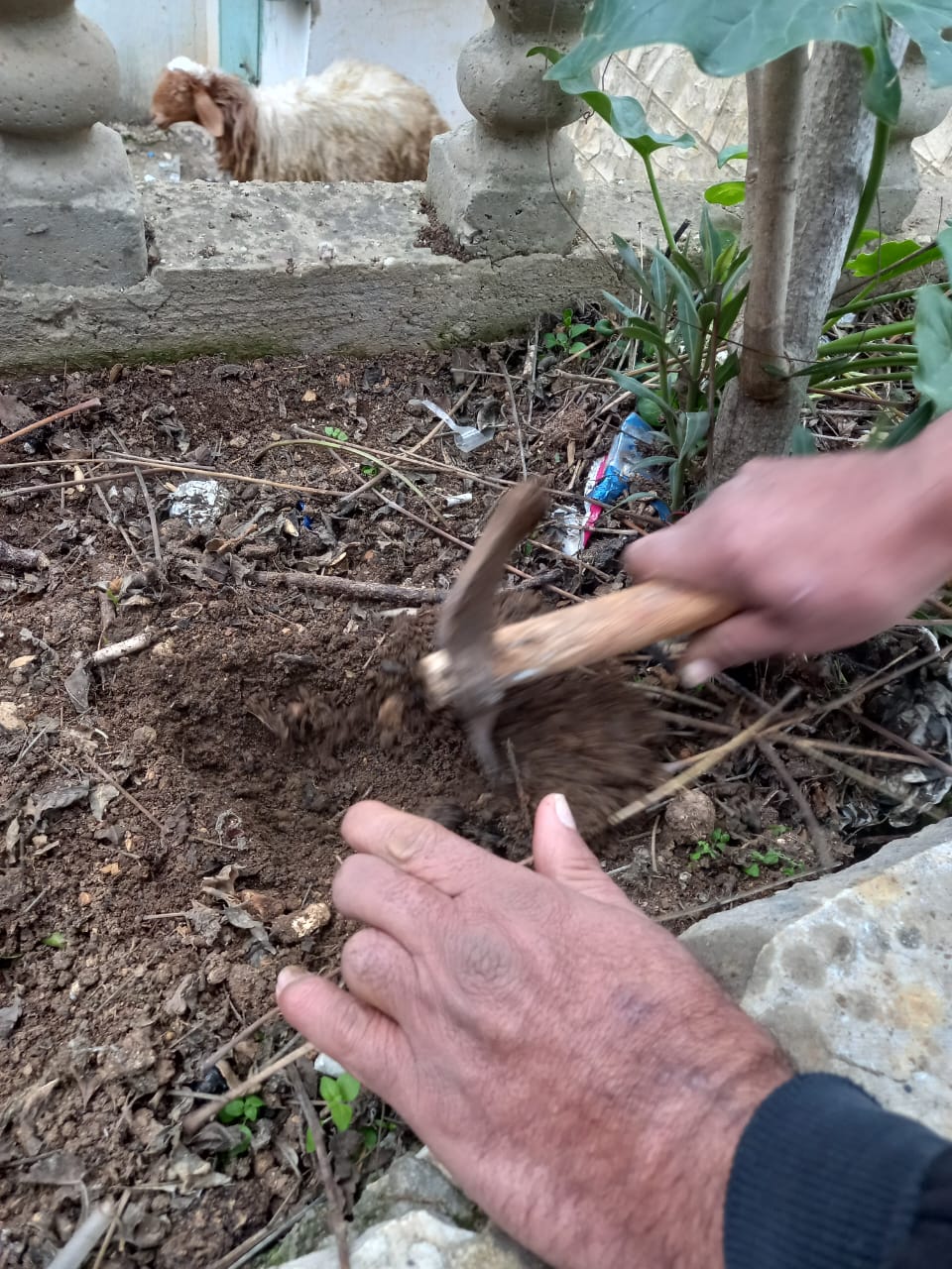 مهندسو جمعية جهاد البناء يزورون الجرحى في منازلهم